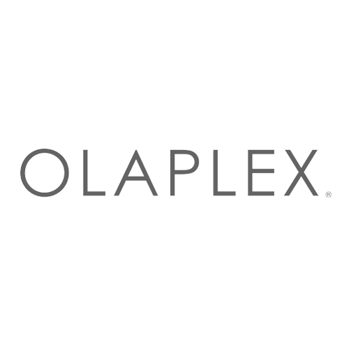 olaplex mane advocates hair salon nyc